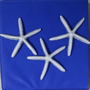 Silver Starfish Decor